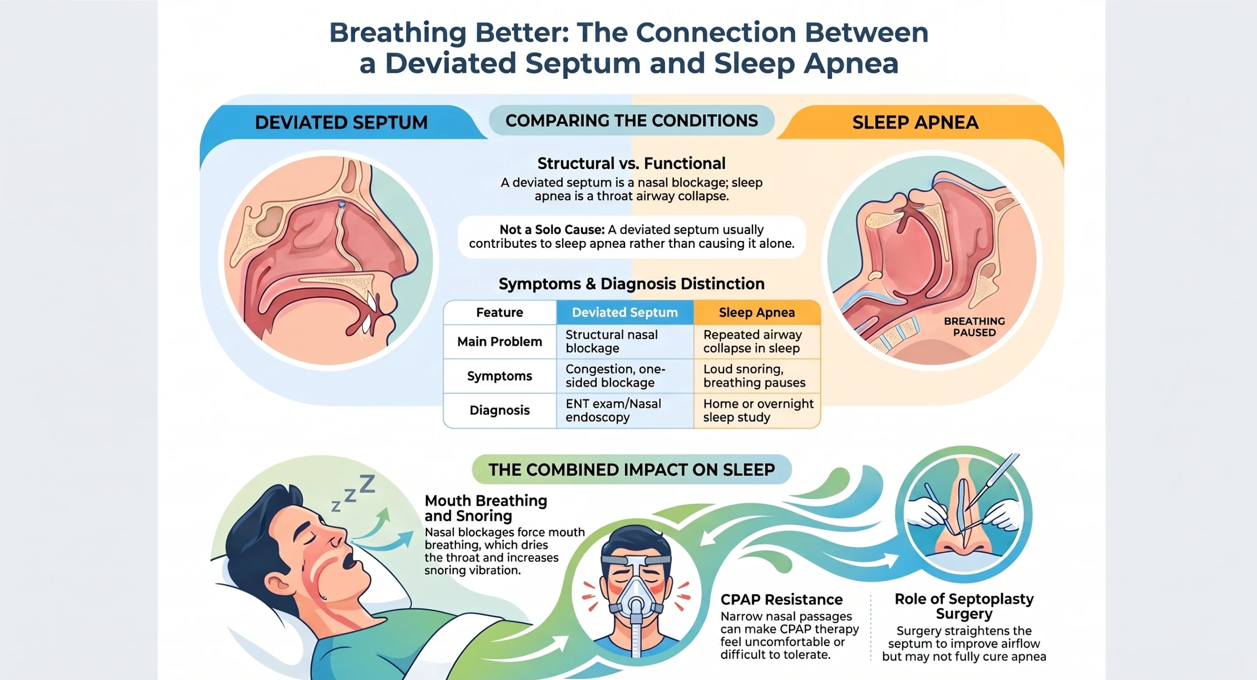 Infographic comparing a deviated septum and sleep apnea, showing symptoms, diagnosis, airway blockage, mouth breathing, CPAP therapy challenges, and the role of septoplasty surgery
